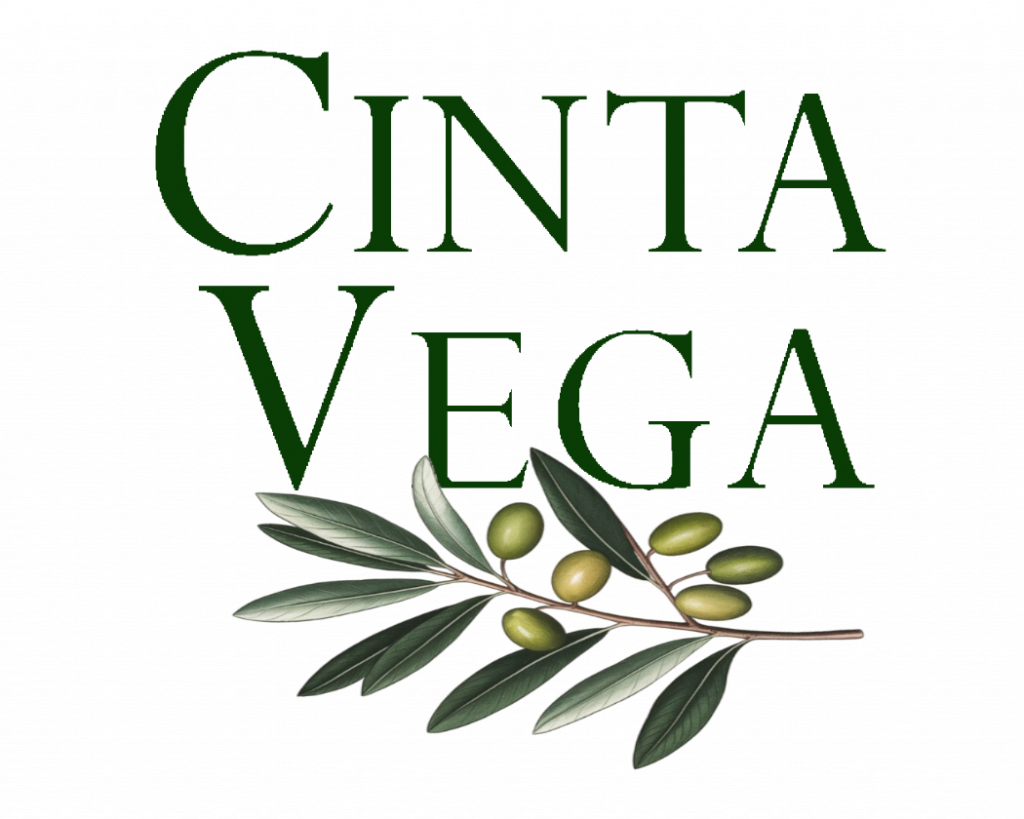 Cinta Vega Web logo